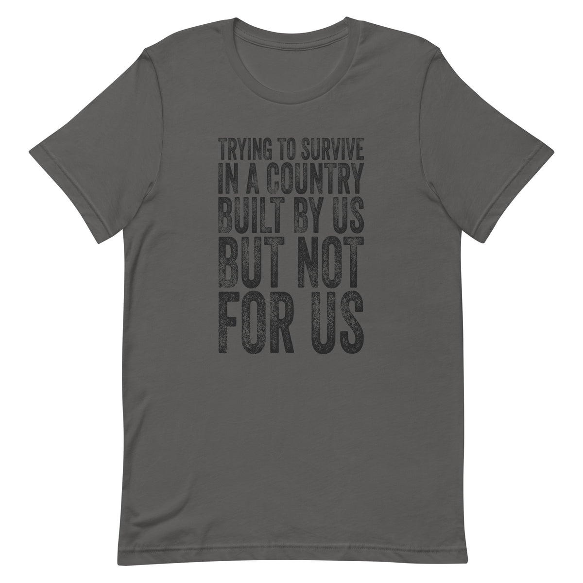 Trying To Survive In A Country Built By Us But Not For Us T-Shirt